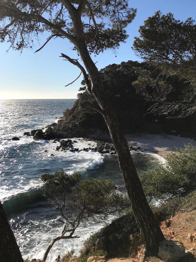 Villa Lucienne Bandol , T2 4 Etoiles Avec Garage, Dans Les Calanques Eksteriør billede