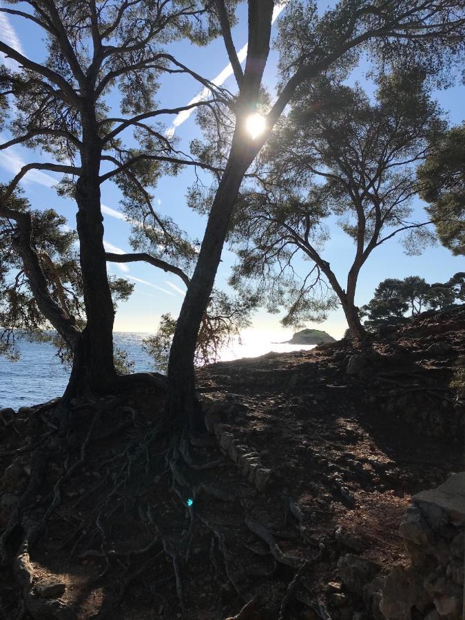 Villa Lucienne Bandol , T2 4 Etoiles Avec Garage, Dans Les Calanques Eksteriør billede